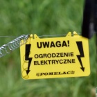 zdjęcie nr 16