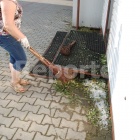 zdjęcie nr 9