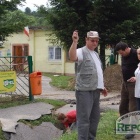 zdjęcie nr 31