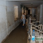 zdjęcie nr 22