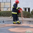 Fotka nr 5 z 13
