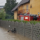 zdjęcie nr 14