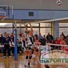 Fotka nr 4 z 8