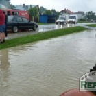 zdjęcie nr 9