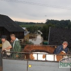 zdjęcie nr 19