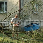 zdjęcie nr 36