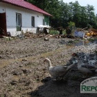 zdjęcie nr 15