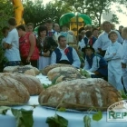 zdjęcie nr 32
