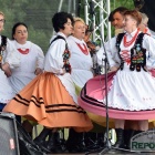zdjęcie nr 15