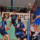 Fotka nr 2 z 11