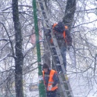 zdjęcie nr 10