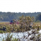 zdjęcie nr 15