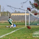 zdjęcie nr 33