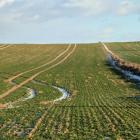  Ważnym warunkiem otrzymania dopłat jest&nbsp;także spełnienie wymagań&nbsp;...