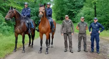 Policjanci w Ropczycach bez koni czy stajni, ale są konne patrole w lasach powiatu
