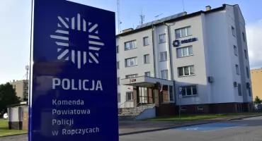 Zadzwonił 