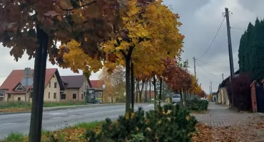 Jesień w Sędziszowie Małopolskim. Zobacz zdjęcia